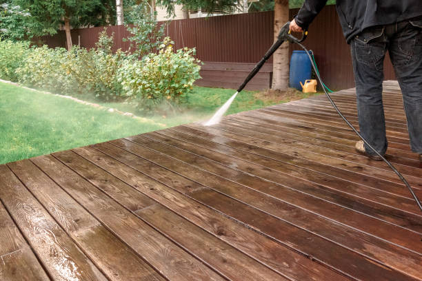 Animal Enclosure Cleaning in Center Line, MI